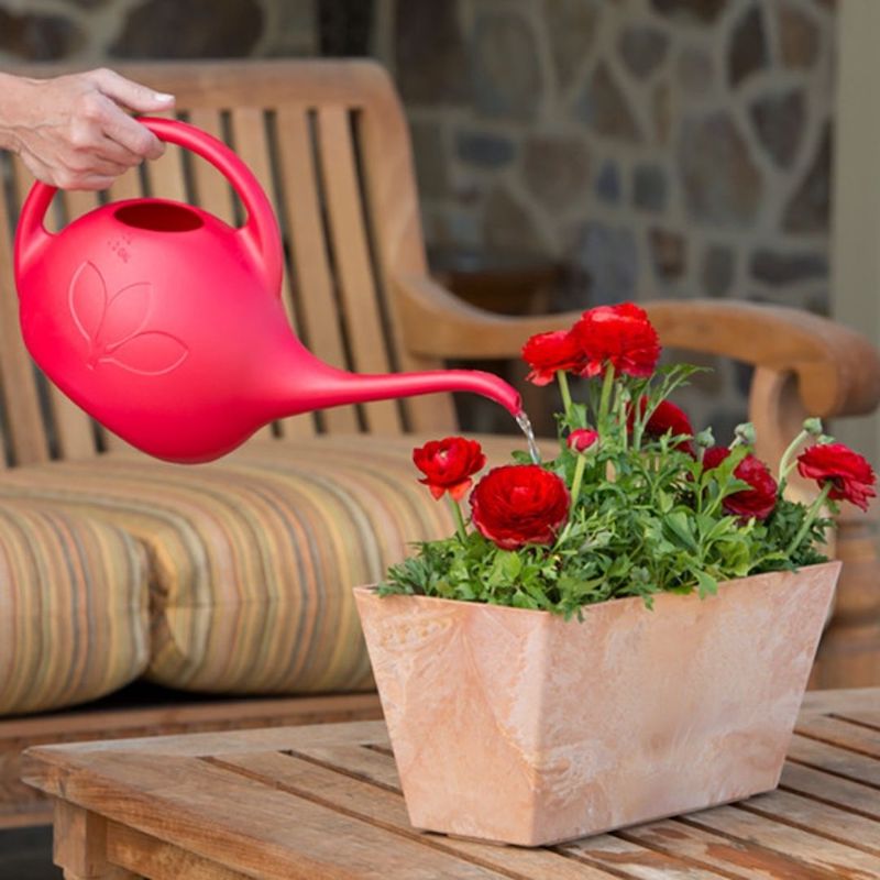 5-gallon watering can